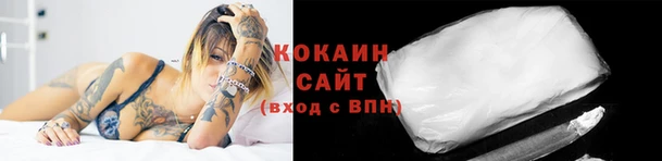 индика Балахна