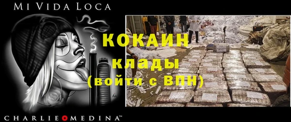 индика Балахна