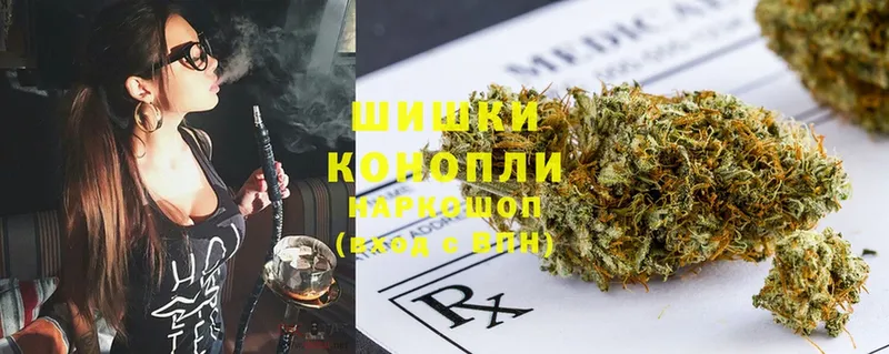 Бошки Шишки THC 21%  Белокуриха 